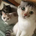 ゆゅ部屋
