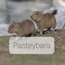 Ubiverse Fics Verse