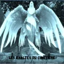 Les exaltés du cimetière - WoW