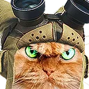 Bomb-Cat Brigade