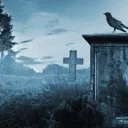 The Graveyard
