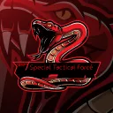 ▁▂Special Tactical Force▂▁