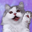AtomiKay Official Discord Discord Server Icon
