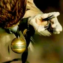 Talons and Leather