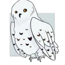 The Owlery