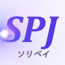 SolidPaymentJapan