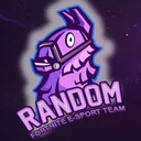 Random E-SPORT