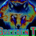 Breeden TV