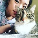 Chroma's Cat Cafe