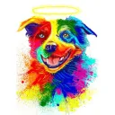 RainBow [BETA]