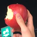 果実の庭