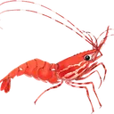 EtherShrimpFarm