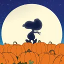 THE PUMPKIN PATCH