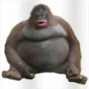 Mauler's Monke Mansion