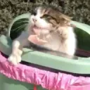 The Garbage Can