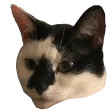 The Nano Nation