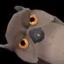 hoot