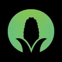 The Cob Mob