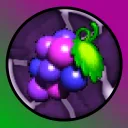 Chicken’s Grape Garden