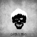 Gamer Is dead