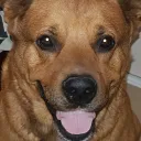 🐕EJU-BU🐕