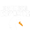 Discovery icon for Swansea Esports Discord server