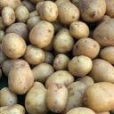 The Potato Sack Server Icon