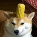 Cord Dog.