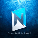 TEAM NORTH [N] icon