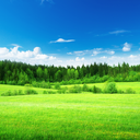 Greener Pasture