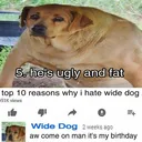 WIDE DOG FAN CLUB