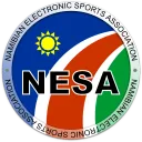 NESA Public Server