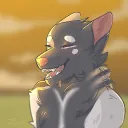 The Wolf Club