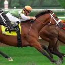 World's Best Horse Racing