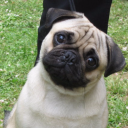 Destiny 2 PUGS PVP Server Icon