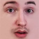 Rotpilz Community