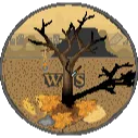 Wastelands: Survival