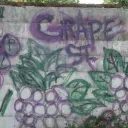 Grape Street Crips