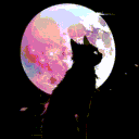 MoonCat