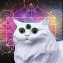 Czech_Meowt Wellness