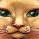 Warrior Cats