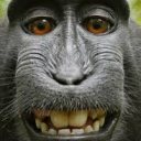 Looking to Int. Server Icon