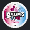 IceBreakers DUO