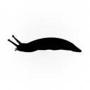 Official SlugBot Server