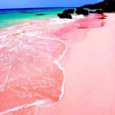 PassionBeach Server Icon