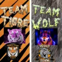 Team Tigre Et Team Wolf