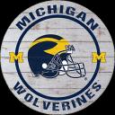 Michigan Wolverines icon