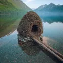 Beaver’s Corner