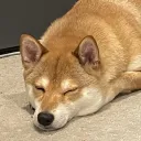 MOCHICORD