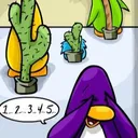 Hide and Seek Meetup
